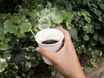 Cropped hand holding coffee