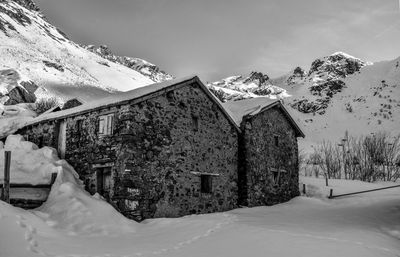 Snow covered trees and houses against sky