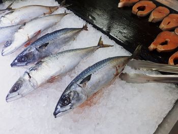 High angle view of fish for sale in market