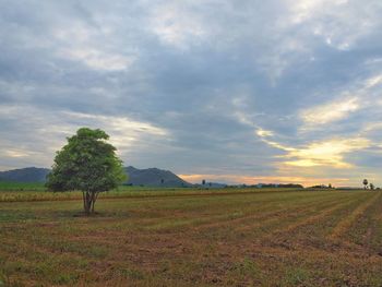 Scenic view of field against sky during sunset