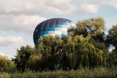 Blue hot air ballon rising behind a green tree
