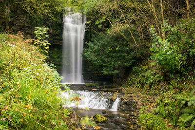 Waterfall in forest