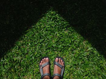 Low section of person standing on grassy land