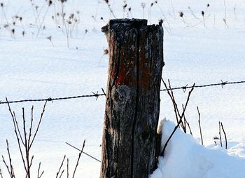 Wooden post on snow covered landscape