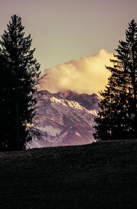 Trees on landscape against sky at sunset