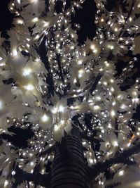 Low angle view of christmas tree against sky