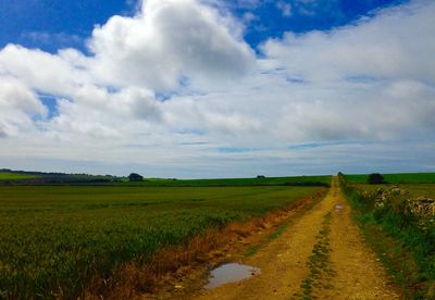 Scenic view of agricultural field against sky