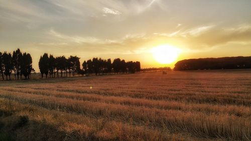 Scenic view of field against sky during sunset