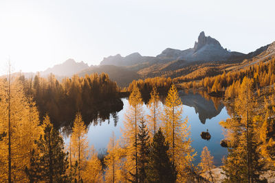 Scenic view of lake against clear sky during autumn