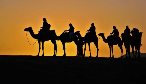 Silhouette people riding at desert against sky during sunset