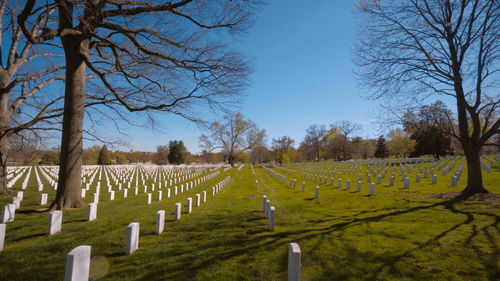 cemetery