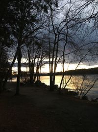 Silhouette bare trees on riverbank against sky