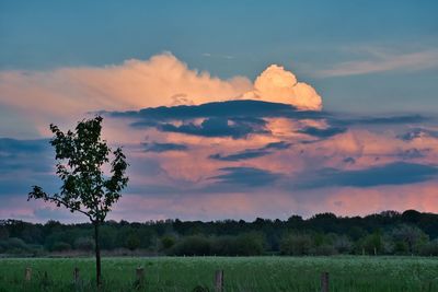 Scenic view of field against sky during sunset