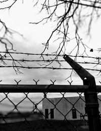 Bird perching on fence against sky