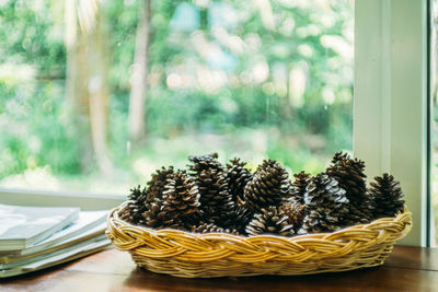 Close-up of pine cone on window sill