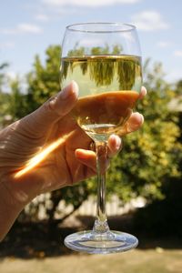 Close-up of hand holding wineglass against sky