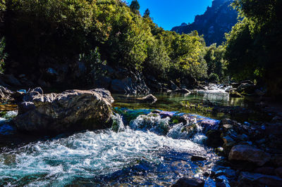 Scenic view of waterfall in forest