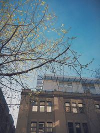 Low angle view of building against sky