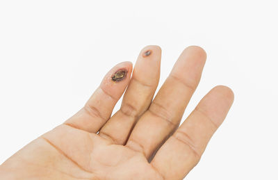 Close-up of hand against white background