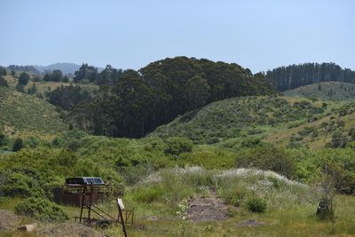 Scenic view of landscape against clear sky