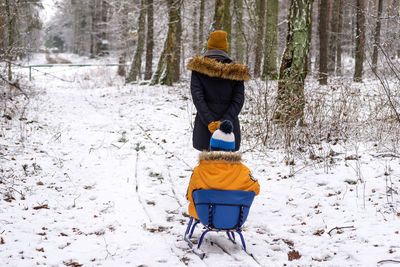 A woman is pulling a boy on a sled through the snow in the forest.
