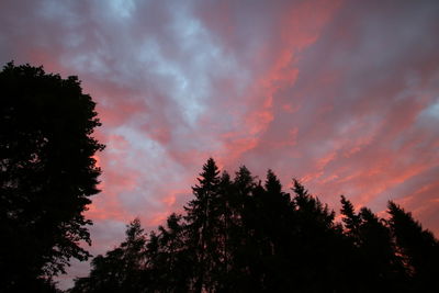 Silhouette trees against dramatic sky