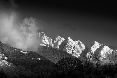 Low angle view of trees on mountain against sky