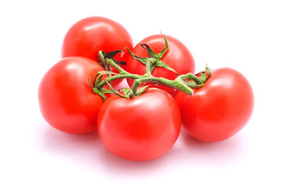 Close-up of tomatoes against white background