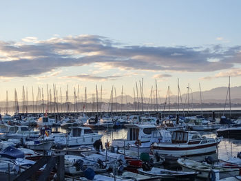 Boats moored at harbor