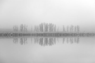 Reflection of trees in lake against sky