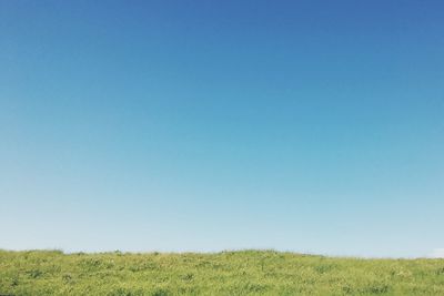 Scenic view of field against clear blue sky