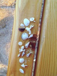 Close-up of wooden door