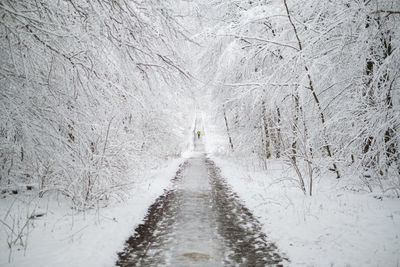 Road amidst snow covered land