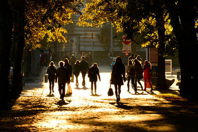 An autumn sunlit urban park scene in tallin, estonia
