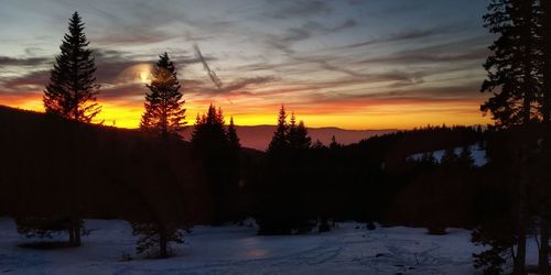 Silhouette trees against sky during sunset