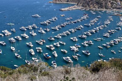 High angle view of sailboat on sea shore on catalina island 