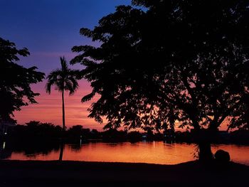 Silhouette trees by lake against sky at night