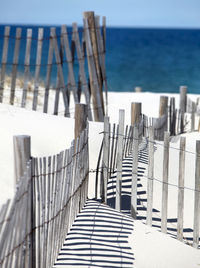 Beach and snow fence at dennis, cape cod