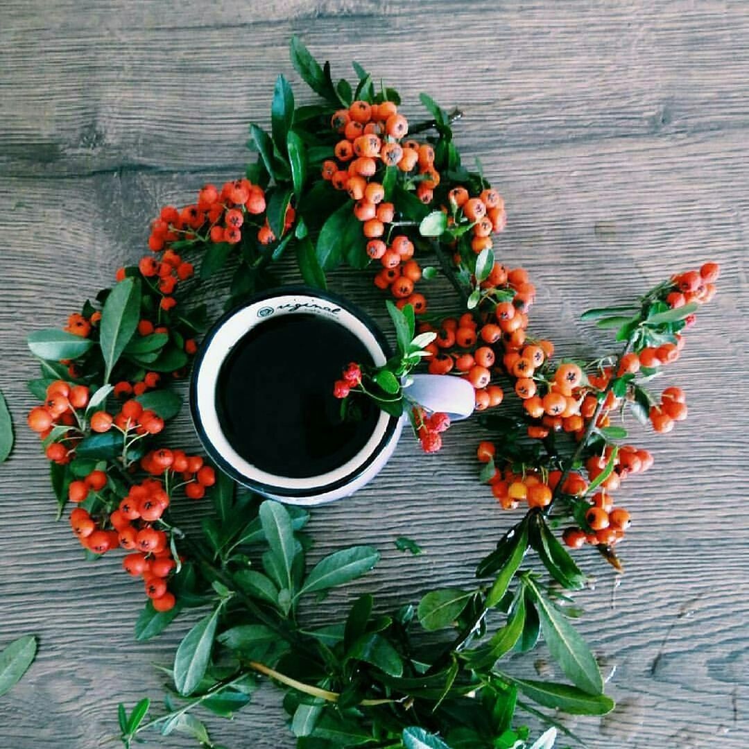 food and drink, freshness, food, drink, directly above, healthy eating, wood - material, fruit, flower, no people, plate, old-fashioned, ready-to-eat