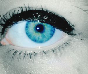 human eye