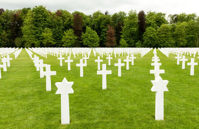 Close-up of cemetery against trees