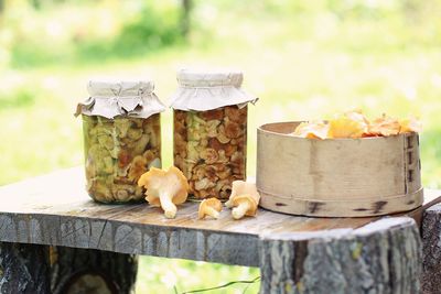 Canned chanterelle mushrooms