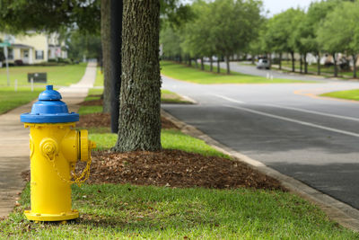 Yellow fire hydrant on field by road in park