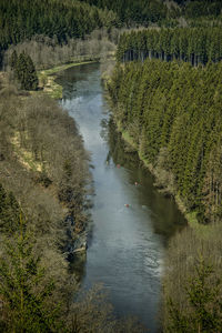 Scenic view of river amidst plants