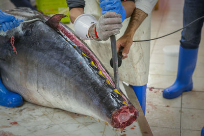 Low section of man working at fish