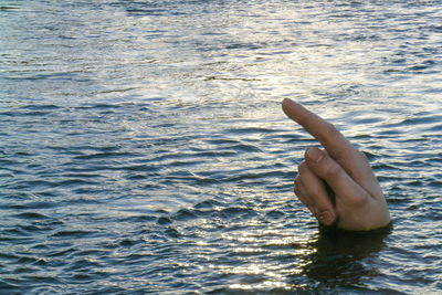 Close-up of hand in water