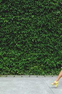 Woman standing by ivy