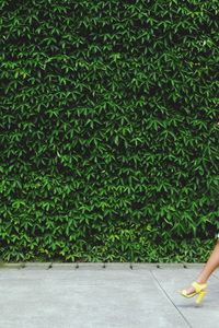 Woman walking by plants