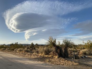 Panoramic shot of road amidst trees against sky