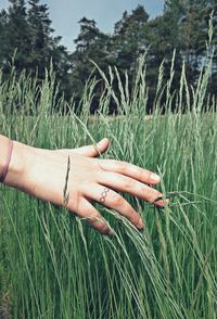 Cropped image of hand touching grass on field